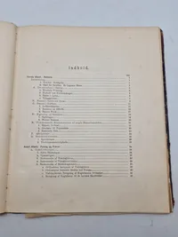Haandskyts 1895