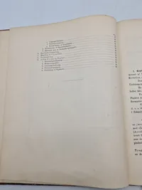 Haandskyts 1895