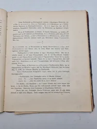 Haandskyts 1895