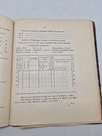 Haandskyts 1895
