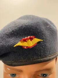 Original baret fra det danske flyvevåben