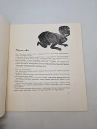 Samling grønlandske billeder i mappe