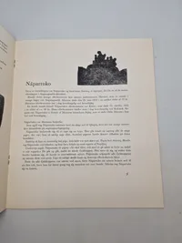 Samling grønlandske billeder i mappe