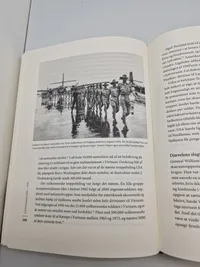 Vietnamkrigen