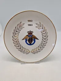 Plakette - Flyvevåbenet