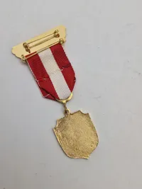 Originalt sjældent 20 års tegn fra den Danske SS veteran forening