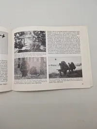 Danske specielstyrker