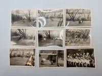 Kæmpe lot originalt feltpost, fotos mm.