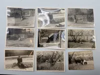 Kæmpe lot originalt feltpost, fotos mm.