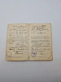 Kæmpe lot originalt feltpost, fotos mm.