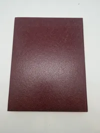 The P.38 Pistol - The Walther Pistol 1930-1945 - Volume 1