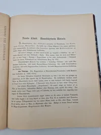 Haandskyts 1894