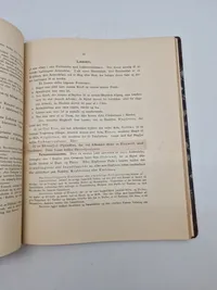 Haandskyts 1894