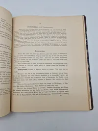 Haandskyts 1894