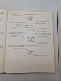 Cartridge Headstamp Guide
