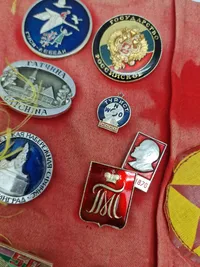 Samling pins og nåle