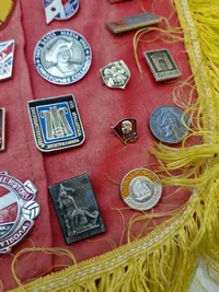 Samling pins og nåle