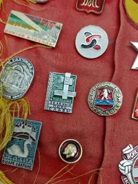 Samling pins og nåle