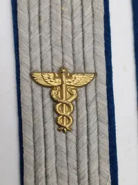 Pair of German Army Truppensonderdienst Administrative Officer Sew In Shoulder Straps