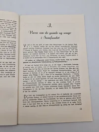 Originalt dansk nazistisk hæfte - Hvad vil den danske front
