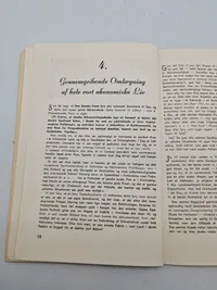 Originalt dansk nazistisk hæfte - Hvad vil den danske front