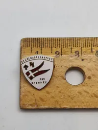Ekstremt sjældent dansk ww2 pin “Skjoldungekorpset”