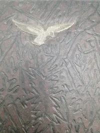 Originalt tysk ww2 fotoalbum
