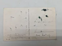 Samling originale ww2 fotos