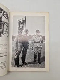 Godt opslagsværk over tyske flag og bannere
