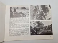 Waffen ss in action