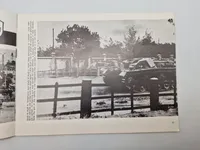 Waffen ss in action