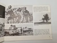 Waffen ss in action