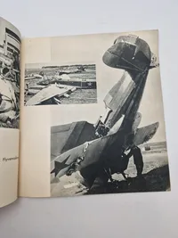 Sejr over Europa (sjælden dansk nazistisk propaganda)