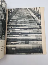 Sejr over Europa (sjælden dansk nazistisk propaganda)