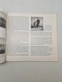 Luftkrig over Danmark