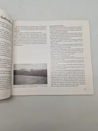 Luftkrig over Danmark