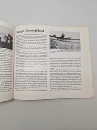 Luftkrig over Danmark