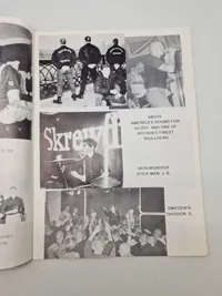 Diverse nynazistiske blade og magasiner