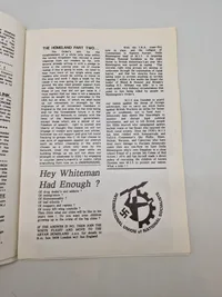 Diverse nynazistiske blade og magasiner