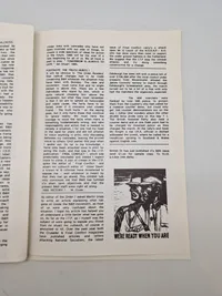 Diverse nynazistiske blade og magasiner
