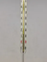 Ældre tysk termometer med etui