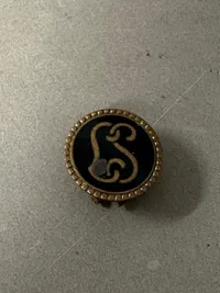 Original Nazistisk LS pin WW2