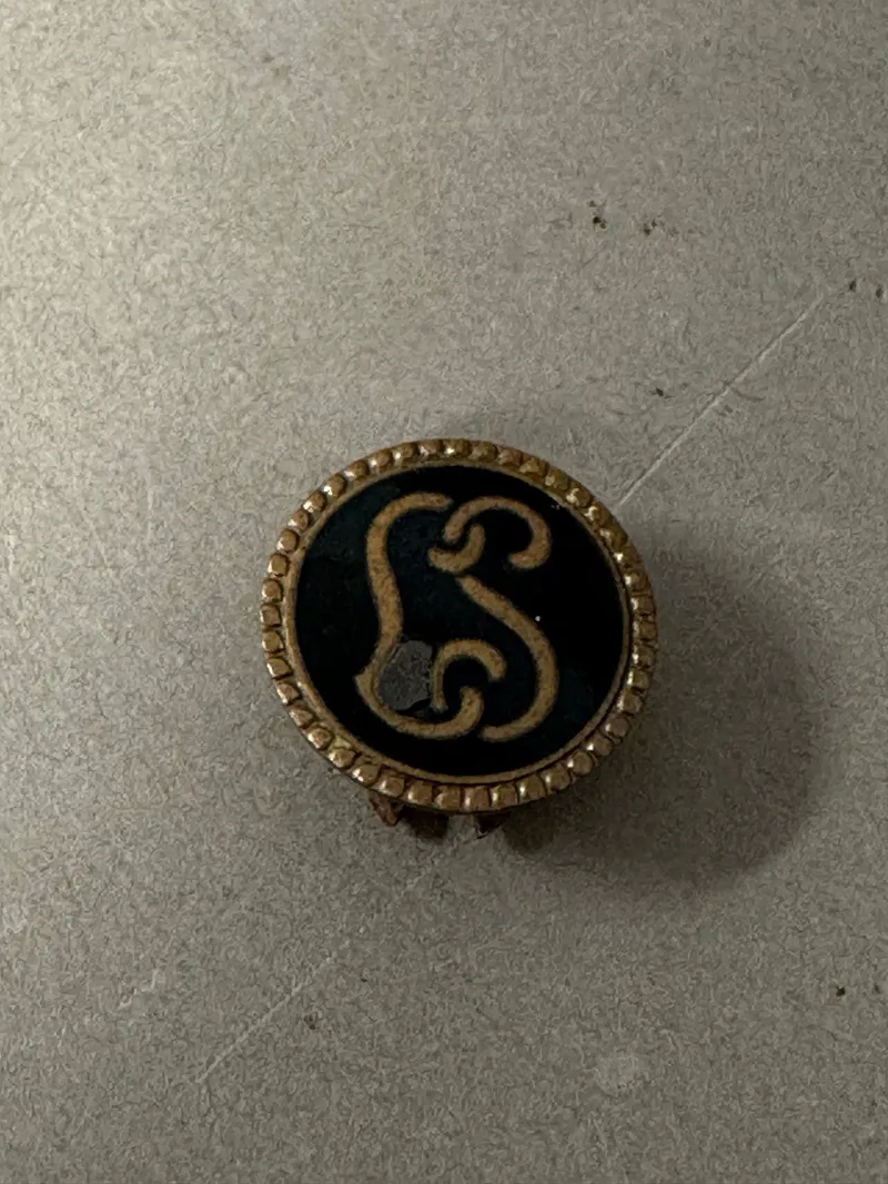 Original Nazistisk LS pin WW2