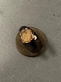Original Nazistisk LS pin WW2