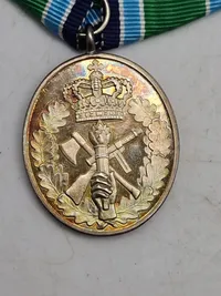 Original HJV anciennitetstegn - hjv (sterlingsølv)