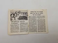 Originalt camoufleret illegalt blad fra ww2
