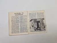 Originalt camoufleret illegalt blad fra ww2