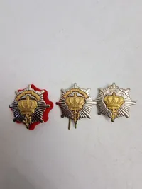 Lot originalt Livgarde