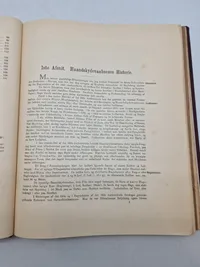 Foredrag over håndskydevåben