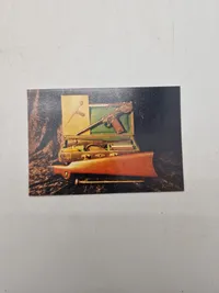The Luger pistol